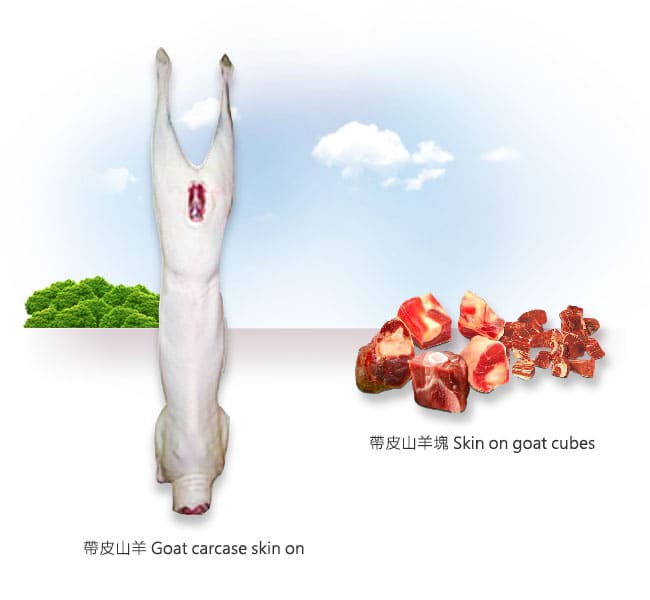帶皮山羊 Goat carcase skin on